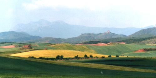 Towards Los Arcos